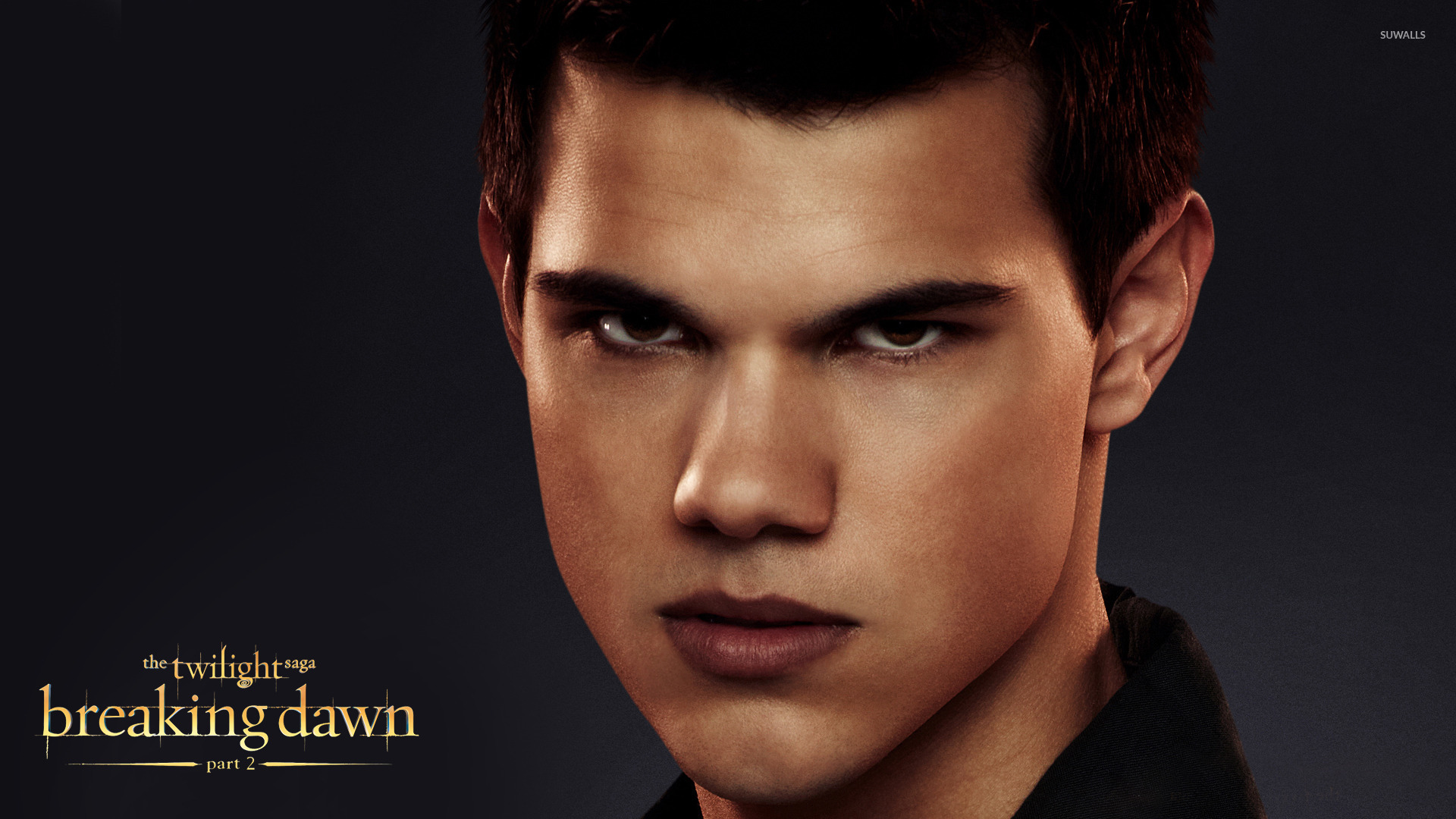 free for ios download The Twilight Saga: Breaking Dawn, Part 2