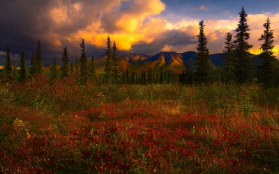 Amazing nature on the filed by the hills at sunset wallpaper