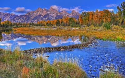 Autumn forest by the rocky mountains wallpaper