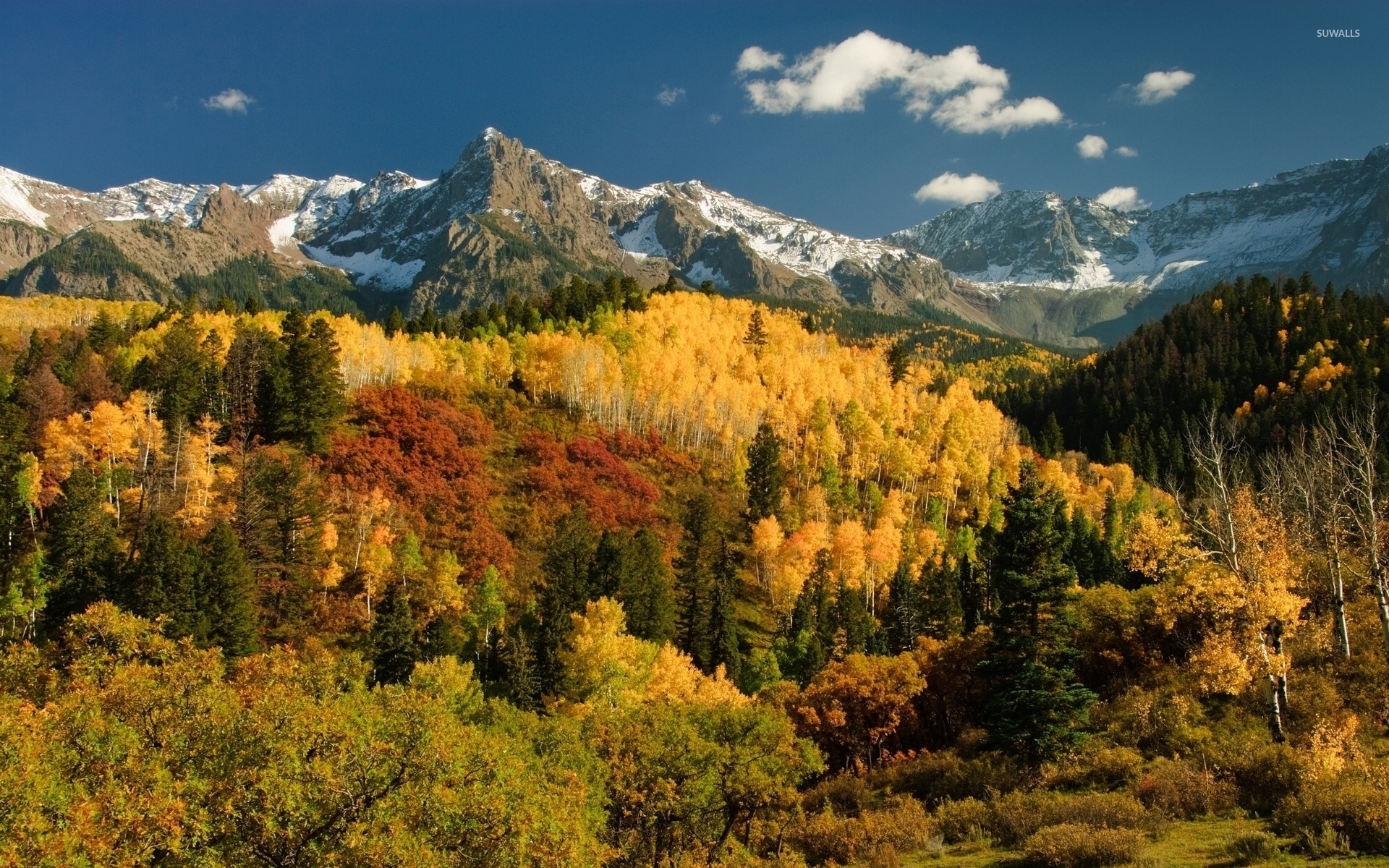 Autumn forest by the snowy peaks wallpaper - Nature wallpapers - #35882