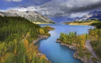 Autumn forest on the Abraham Lake side wallpaper 1920x1080 jpg