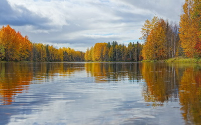Autumn forest reflecting in the water wallpaper