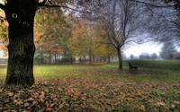Autumn in the park [2] wallpaper 2560x1600 jpg