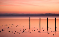 Beautiful sunset at the lake [3] wallpaper 1920x1200 jpg