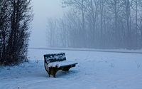 Bench in the foggy forest wallpaper 1920x1200 jpg