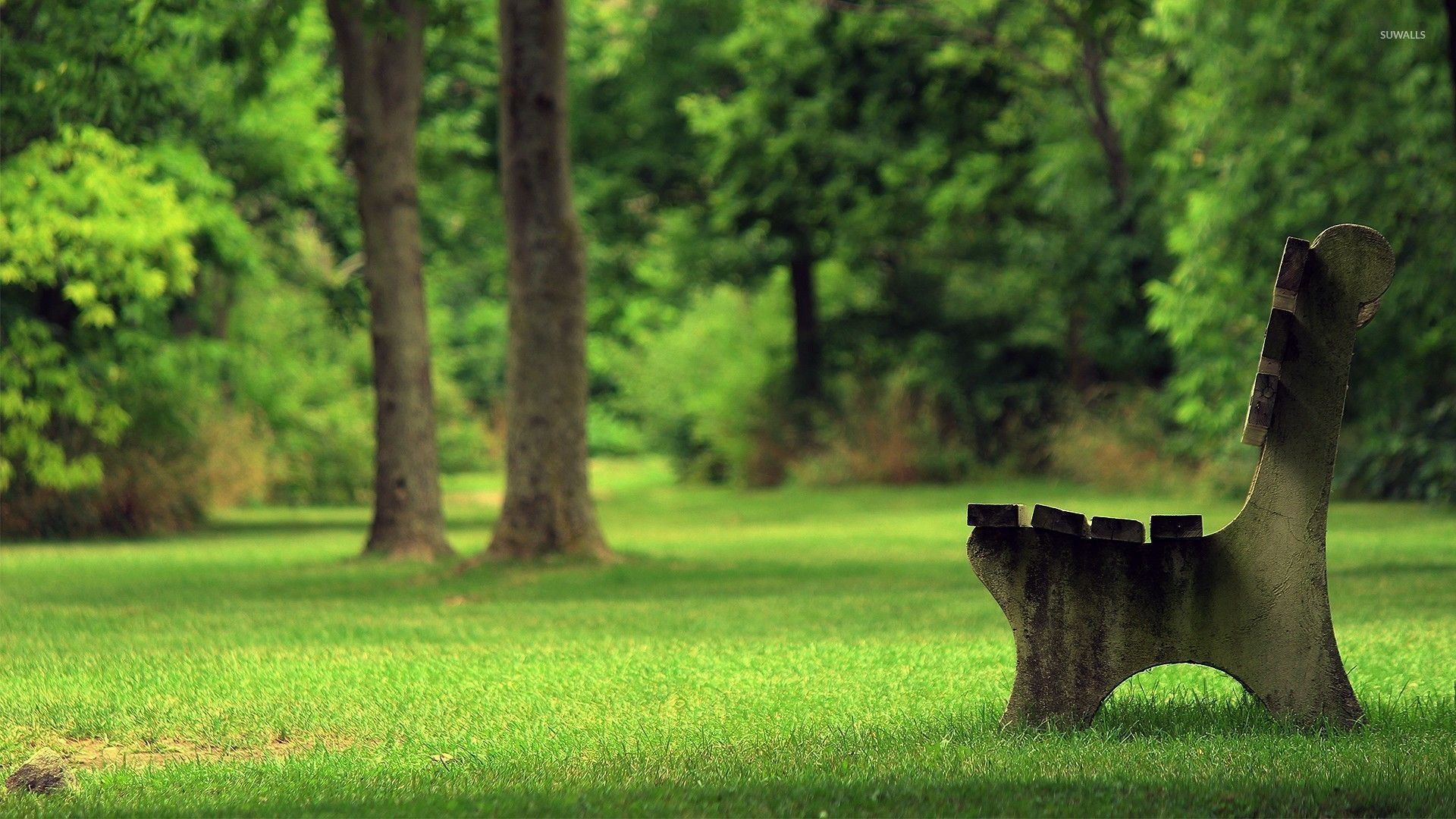 Bench in the park [2] wallpaper - Nature wallpapers - #53617