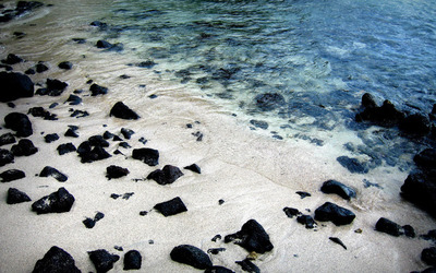 Black rocks on a sandy beach wallpaper