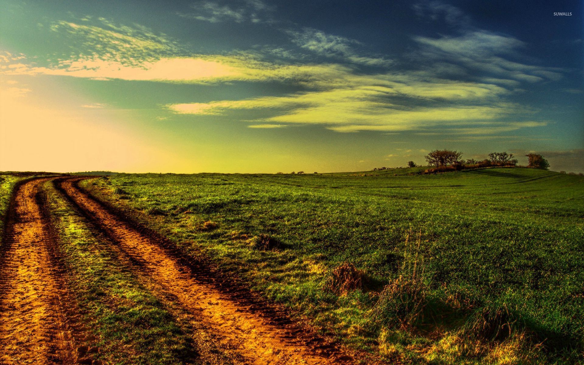 Car tracks through the green field wallpaper - Nature wallpapers - #27145