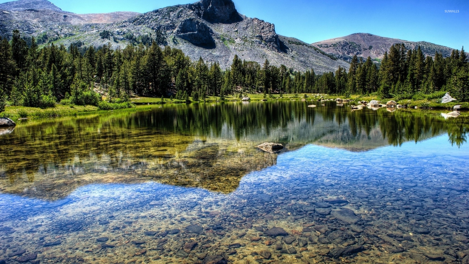 Clear Lake Nature Desktop Backgrounds