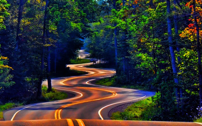 Curvy forest road wallpaper