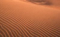 Desert [8] wallpaper 2560x1440 jpg
