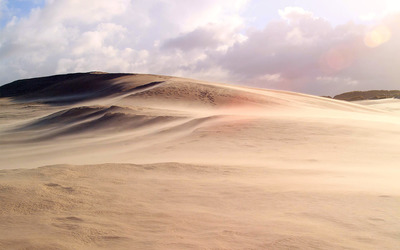 Desert Dune wallpaper