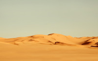 Desert dunes wallpaper 1920x1200 jpg