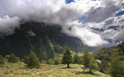 Fluffy clouds leaning upon the forest mountain wallpaper