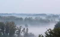 Fog rising from the forest wallpaper 3840x2160 jpg