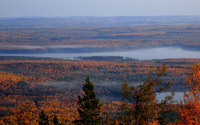 Foggy autumn forest [7] wallpaper 3840x2160 jpg