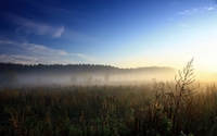 Foggy field [2] wallpaper 2560x1600 jpg