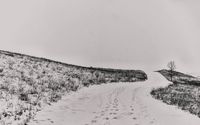 Footprints in the countryside snowy road wallpaper 2880x1800 jpg