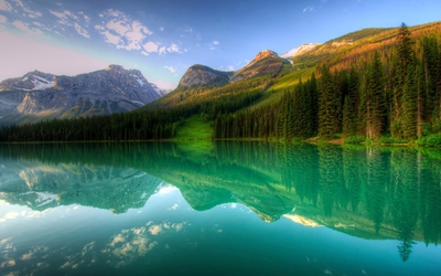 Forest reflecting in the lake mountain wallpaper