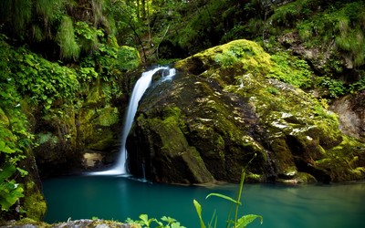 Forest waterfall on mossy rocks reaching to the clear water wallpaper