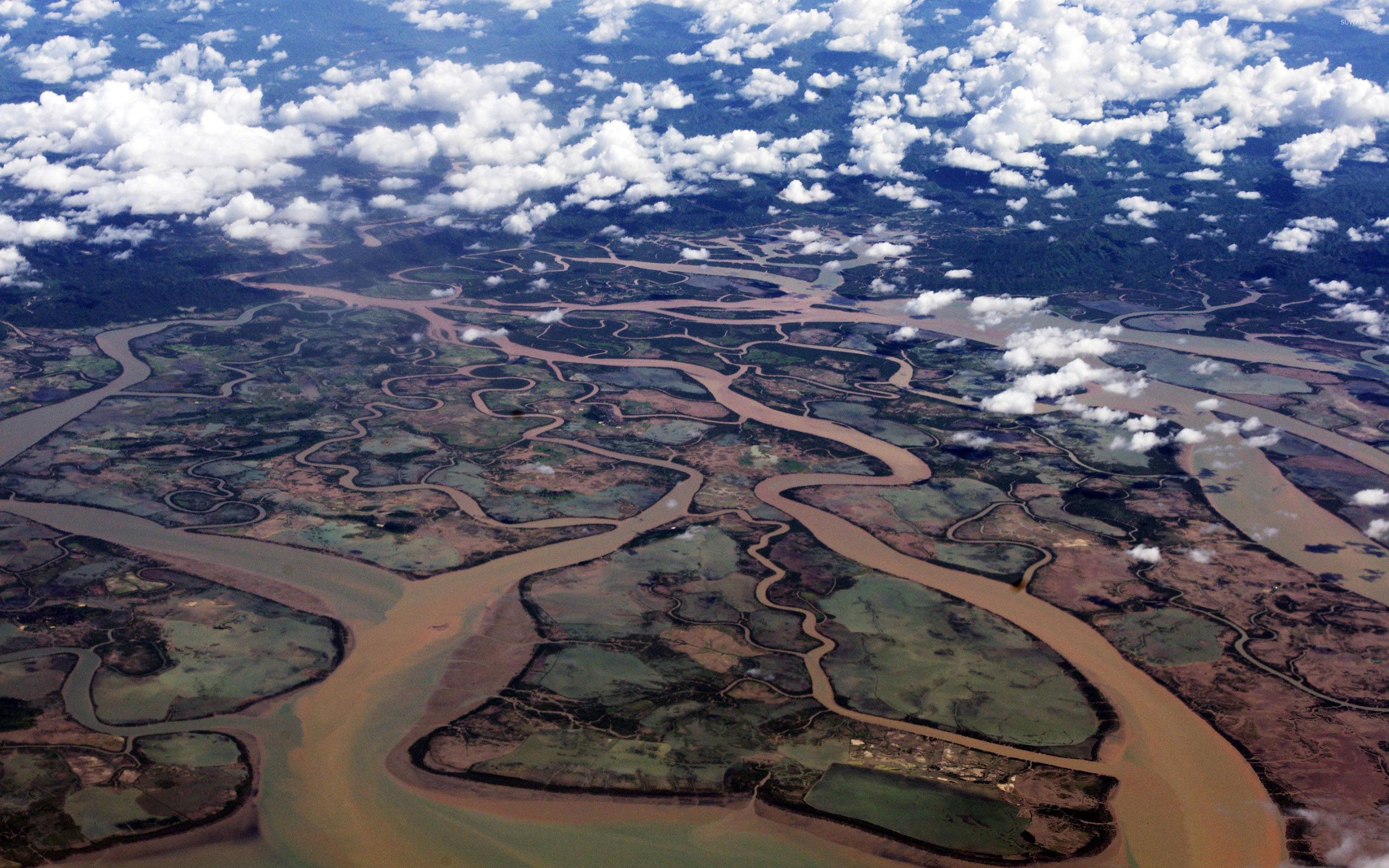 Дельта реки ганг