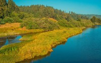 Golden grass on the river shore wallpaper 1920x1200 jpg