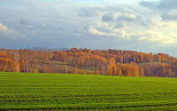 Green field by the autumn forest wallpaper 1920x1200 jpg