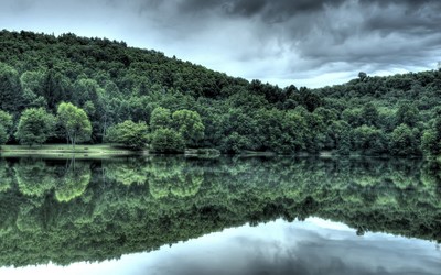 Green forest reflecting in the lake wallpaper