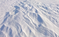 Immaculate snow wallpaper 1920x1200 jpg
