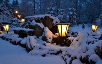 Lamps in the snowy park wallpaper 2560x1600 jpg