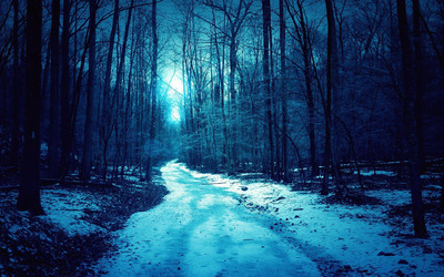 Light snow in the woods Wallpaper
