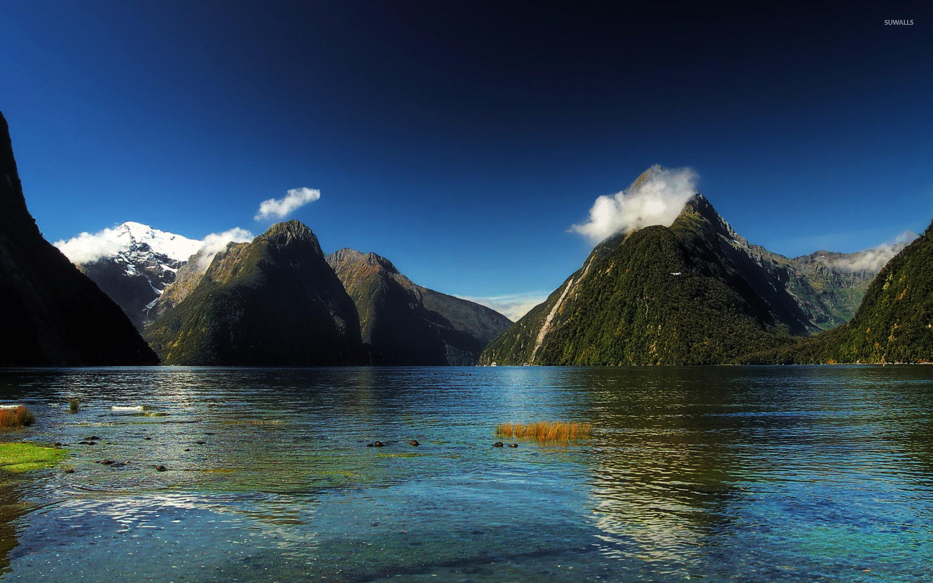 Milford Sound, New Zealand wallpaper - Nature wallpapers - #20785