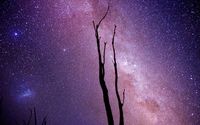 Milky Way above the trees wallpaper 1920x1080 jpg
