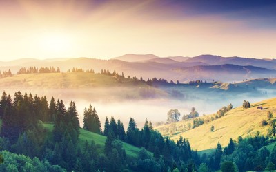 Misty morning in the hills wallpaper