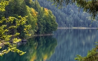 Mountain forest reflecting in the lake [3] wallpaper 1920x1200 jpg