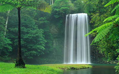 Mystic forest waterfall Wallpaper