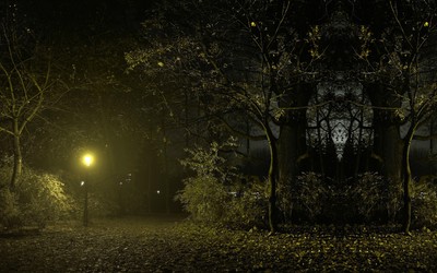 Night in the park wallpaper