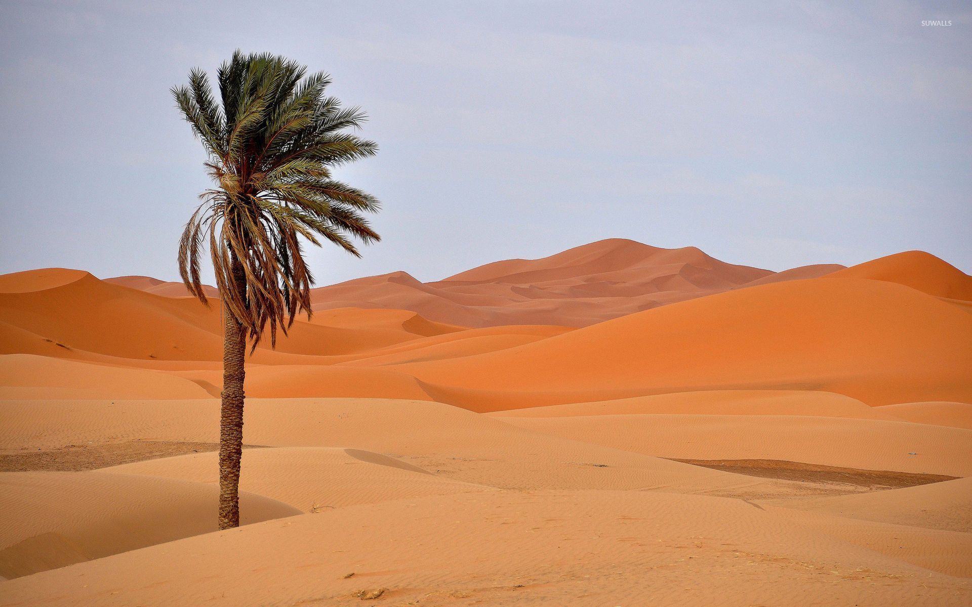 дюны барханы dunes the без смс