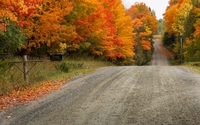 Path through autumn forest wallpaper 1920x1200 jpg