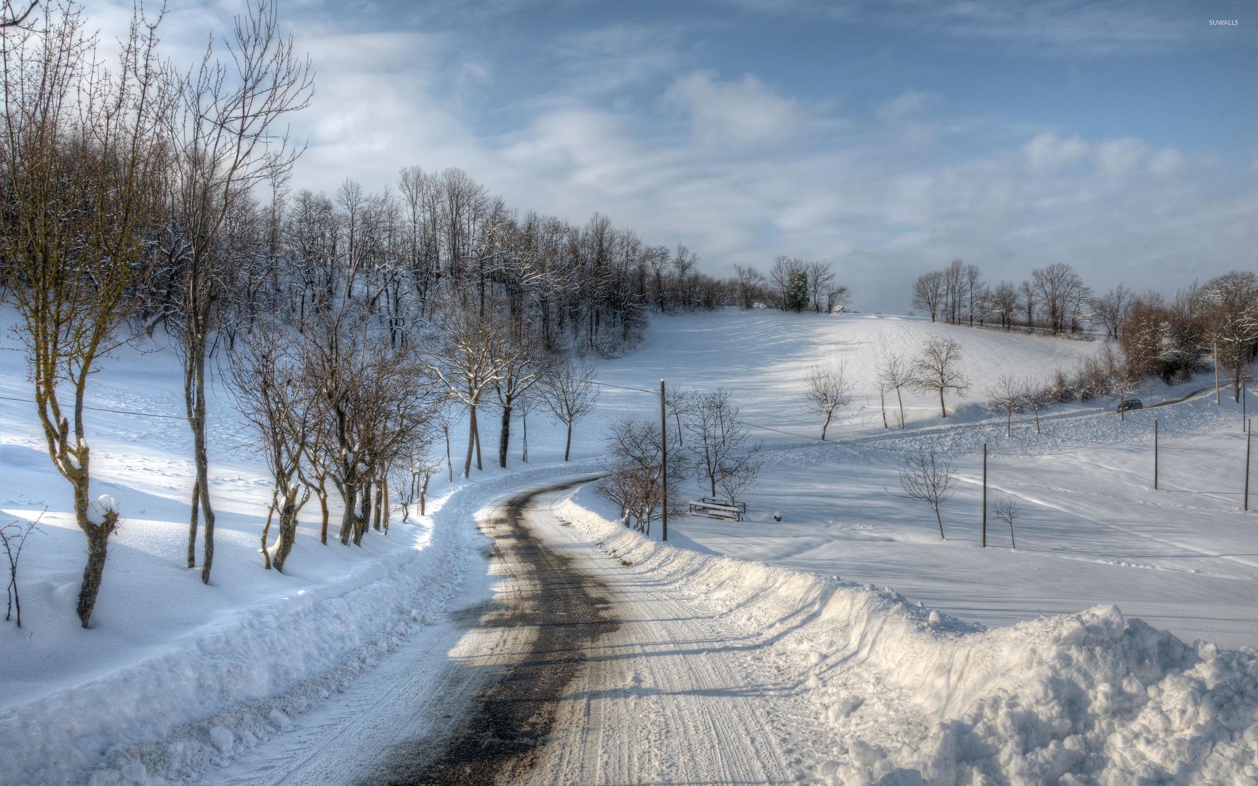 Path Through The Snow Wallpaper Nature Wallpapers
