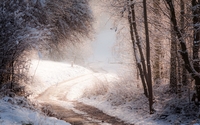 Path through the snowy forest [3] wallpaper 1920x1200 jpg
