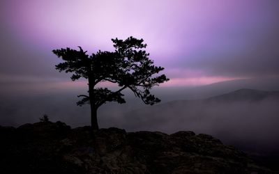 Purple sunset sky behind the foggy mountains wallpaper