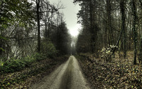 Road in the forest [3] wallpaper 1920x1200 jpg
