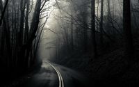 Road through the dark woods wallpaper 1920x1080 jpg