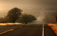 Road towards the foggy trees wallpaper 3840x2160 jpg
