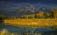 Rocky mountains behind the autumn forest wallpaper 1920x1200 jpg