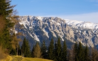 Rocky peaks rising from the mountain forest wallpaper 2560x1600 jpg