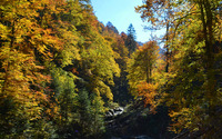 Rocky river in the autumn forest wallpaper 3840x2160 jpg