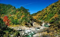 Rocky river through autumn forest wallpaper 1920x1200 jpg