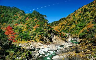 Rocky river through autumn forest wallpaper